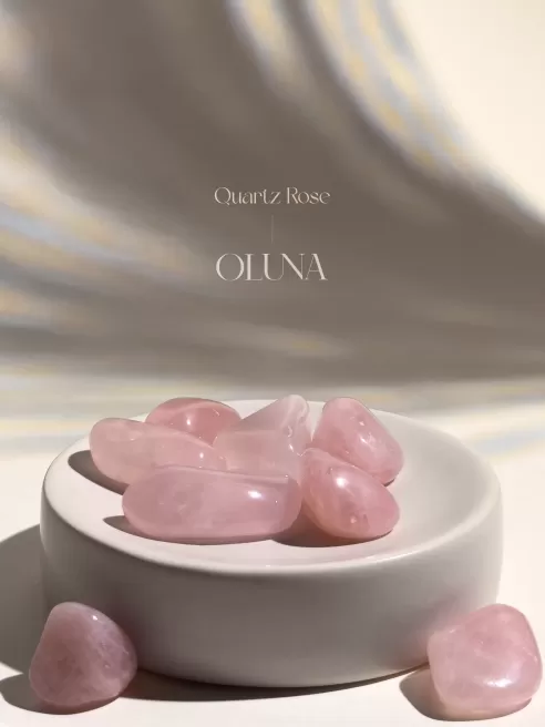 OLUNA-Circulation sanguine